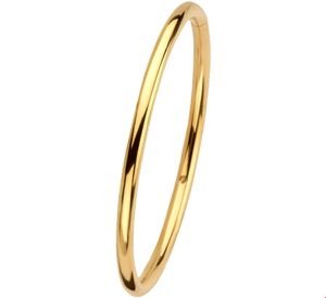 Armband Zilgold Bangle geelgoud met zilveren kern Bolle buis 4 mm