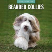 Bearded Collie Kalender 2026
