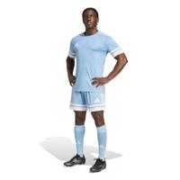 adidas Squadra 25 Voetbaltenue Lichtblauw Wit