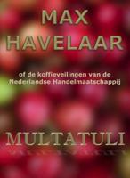 Max Havelaar of de koffieveilingen van de Nederlandse Handelmaatschappij (Paperback)