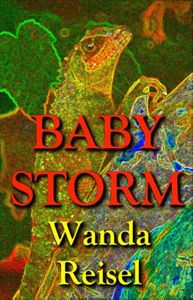 Baby Storm - Wanda Reisel - ebook