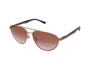 Zonnebrillen Emporio Armani EA2125 300413