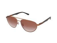 Zonnebrillen Emporio Armani EA2125 300413
