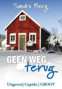 Geen weg terug - Sandra Berg - ebook