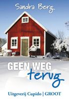 Geen weg terug - Sandra Berg - ebook