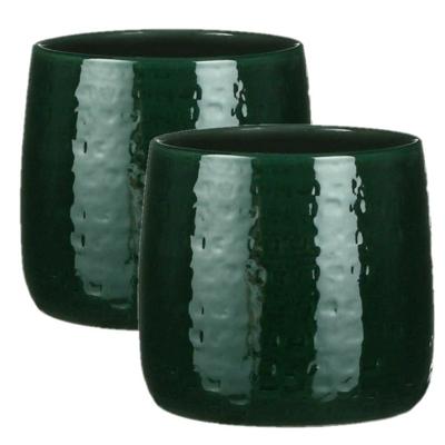 Plantenpot/bloempot - 2x - donkergroen - relief patroon - keramiek - D19/H17 cm