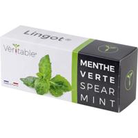 Veritable Indoor Garten navulpak Lingot Minze 128 mm 1 stuk(s)