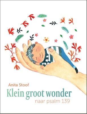 Klein groot wonder (Hardback)
