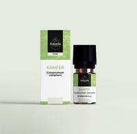 Volatile Kamfer