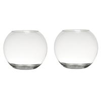 Hakbijl Glass bloemenvaas/terrarium bolvormig - Set van 2x stuks - D30 x H23 cm - glas - 6L - transp