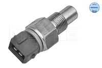 Temperatuursensor 11148210008