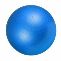 Fitnessbal Blauw 75 cm incl. pomp - thumbnail