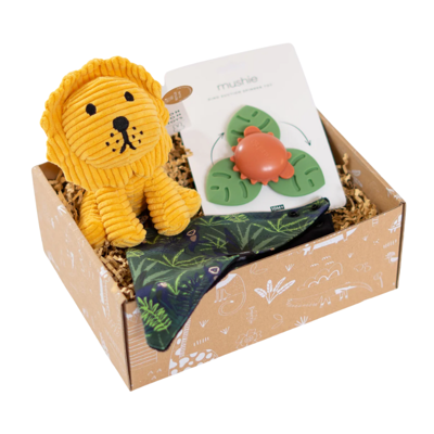 Kraamcadeau pakket - Toys & noise