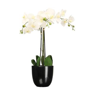 Orchidee kunstplant wit - 75 cm - inclusief bloempot zwart glans - Kunstplanten
