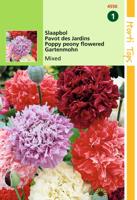 Papaver Somniferum Paeoniflorum Gemengd - Hortitops