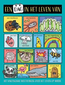 Een dag in het leven van (Paperback)