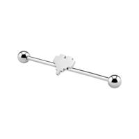 Industrial Barbell met Hartdesign Chirurgisch staal 316L Barbells