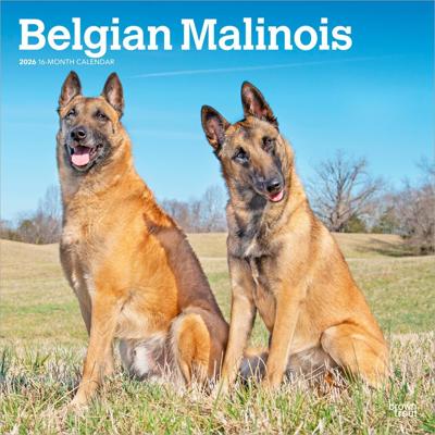 Mechelaar Kalender 2026