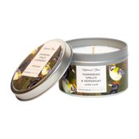 HelemaalShea Geurkaars Shimmering Spruce & Peppermint