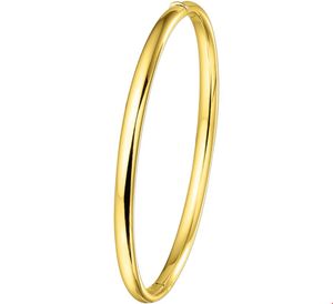 TFT Slavenband Goud Scharnier Half Ronde Buis 4 X 60 mm