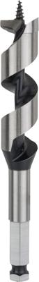 Bosch Accessoires Houtslangenboor, zeskant 22 x 100 x 160 mm, d 11,1 mm 1st - 2608585706