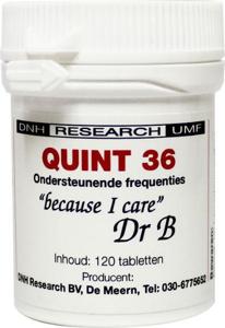 DNH Quint 36
