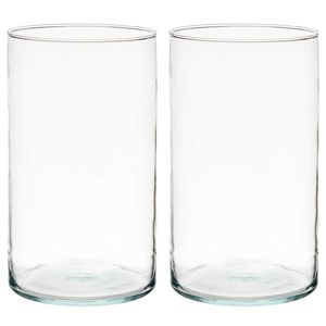 Bloemenvazen 2x stuks - cilinder vorm - transparant glas - 17 x 30 cm