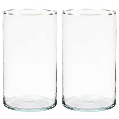 Bloemenvazen 2x stuks - cilinder vorm - transparant glas - 17 x 30 cm