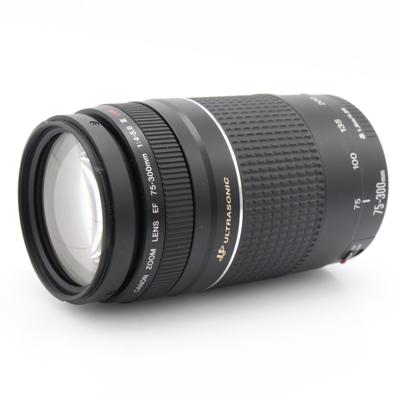 Canon EF 75-300mm F/4-5.6 III USM occasion