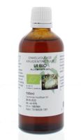 Natura Sanat Allium cepa/ui tinctuur bio (100 ml)