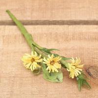 Bonbon doosjes - Chocolade doosje - Goudsbloem - 48 stuks