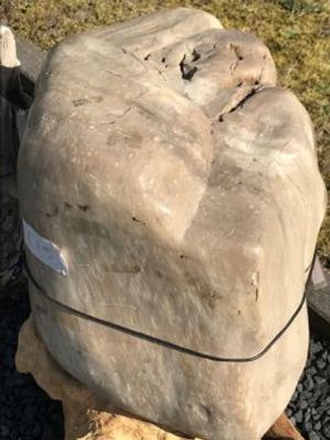 Fossiel hout C15
