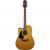 Takamine GD30CELH-NAT linkshandige elektr.akoest. westerngitaar naturel