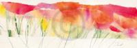 Kunstdruk Marta Peuckert - Poppy ribbon red 100x35cm