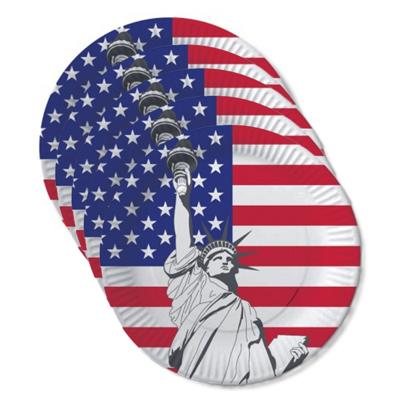 USA/Verenigde Staten kartonnen party bordjes - D23 cm - 30x stuks - papier - feestartikelen USA/Verenigde Staten kartonnen party bordjes - D23 cm - 30x stuks - papier - feestartikelen