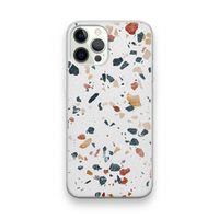 Terrazzo N°4: iPhone 12 Pro Transparant Hoesje