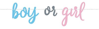 Letterslinger Gender Reveal &apos;Boy or Girl&apos; (213cm)