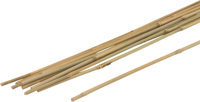 Meister Plantenstok Bamboe 210Cm - WU9966470 Meister Plantenstok Bamboe 210Cm - WU9966470