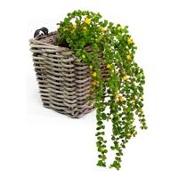 Balkonmand - rotan gevlochten -15 x 15 x 15 cm - bloemen/planten - schuttingmand -hangmand