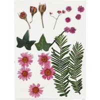 Creativ Company Gedroogde bloemen en bladeren lichtrood, 19dlg.