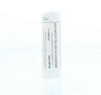 Homeoden Heel Argentum metallicum D30 6 Gram