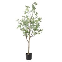 Eucalyptus Groen XL Eucalyptus Groen XL