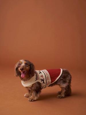 Kersttrui voor hond FAMILY rood