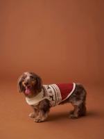 Kersttrui voor hond FAMILY rood