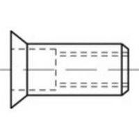 TOOLCRAFT TO-5455200 Popmoer M10 100 stuk(s) - thumbnail
