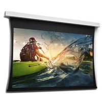 Da-Lite Tensioned DescenderPro WS wide HD Progressive 1.1 - thumbnail