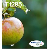 Epson C13T12954511 Zwart, Cyaan, Geel inktcartridge