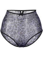 Marlies Dekkers culotte Peekaboo à taille haute - Violet