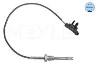 Sensor, uitlaatgastemperatuur 5148000031