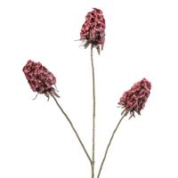 Scabiosa fuchsia 87 cm kunstbloem Buitengewoon de Boet - Buitengewoon de boet